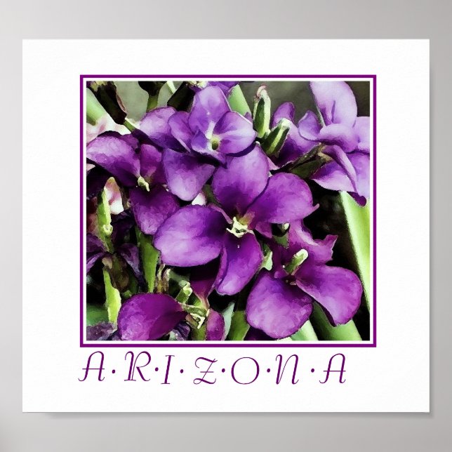 Póster flores roxas da Arizona estampadas (Frente)