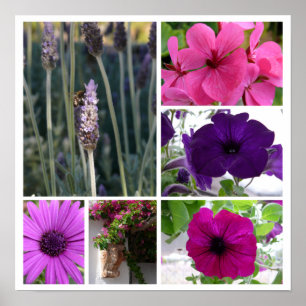 Poster Flores roxas e cor-de-rosa