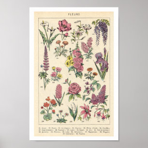 Poster Flores Roxas Vintage