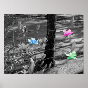 Póster Flores selecionadas