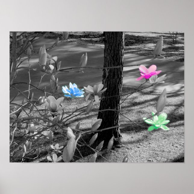 Póster Flores Selecionadas (Frente)