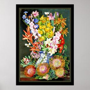 Poster Flores selvagens de Ceres, África do Sul