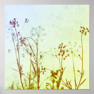 Poster Flores Selvagens de Pastel Moles Abstrato modernos