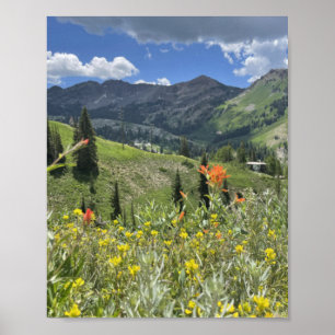 Poster Flores selvagens e montanhas de Utah
