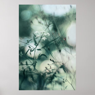 Poster Flores Selvagens Moles de Teal Moderno Abstrato Dr