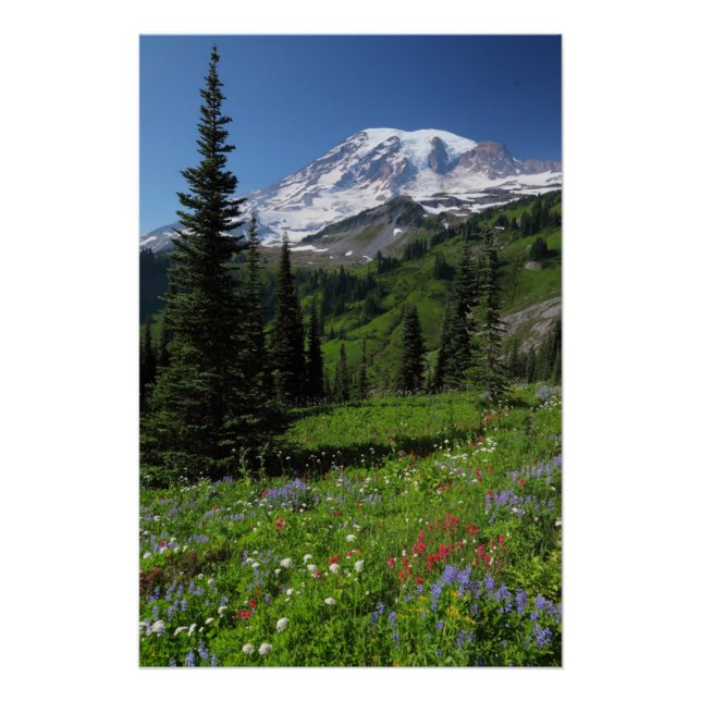 Póster Flores selvagens no Monte Rainier (Frente)