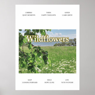 Poster Flores silvestres