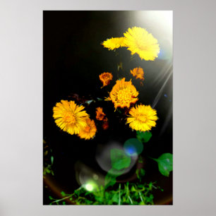 Poster Flores silvestres ao sol