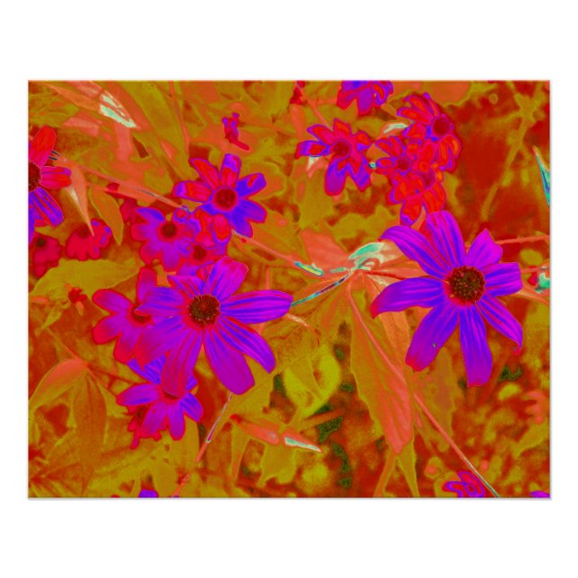 Póster Flores Silvestres Coloridas Ultravioleta, Magenta  (Frente)