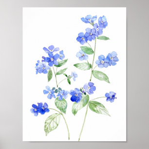 Poster Flores silvestres de Brunnera, de cor azul delicad
