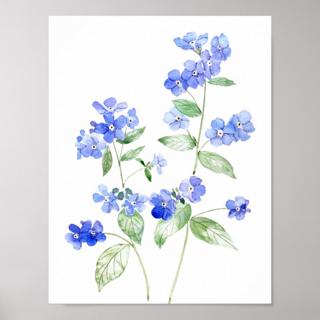 Poster Flores silvestres de Brunnera, de cor azul delicad (Frente)