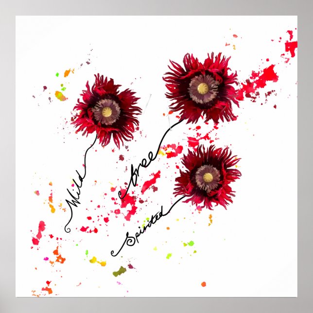 Poster Flores silvestres de papoila espinhadas e selvagen (Frente)