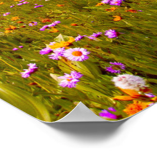 Poster Flores Silvestres no Prado da Montanha - Amarelos