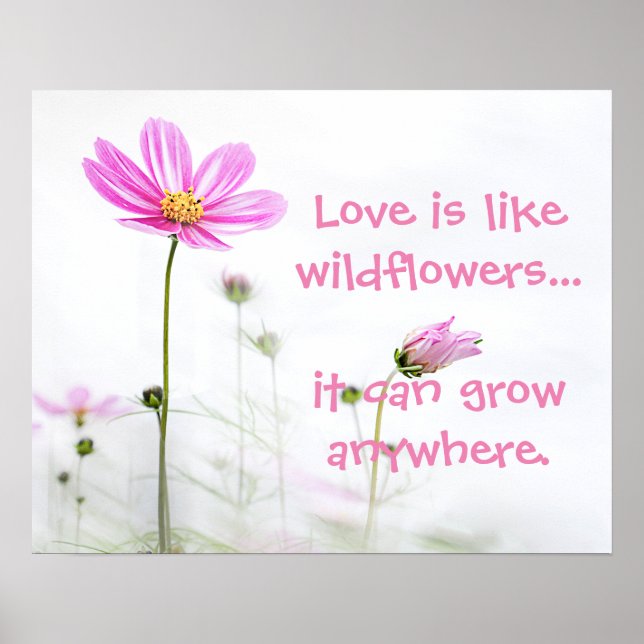 Poster Flores silvestres rosa (Frente)