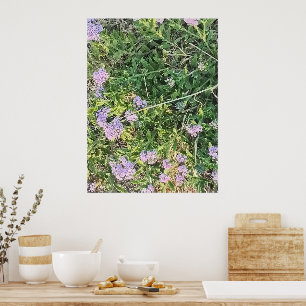 Poster Flores Silvestres Roxas em um Jardim Natural