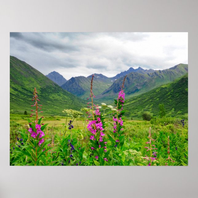 Poster Flores Silvestres Vale do Alasca (Frente)
