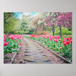 Poster Flores Springtime Ao Longo Do Caminho Da Pedra