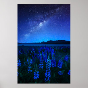 Poster Flores   Tremoço no lago noturno Tekapo