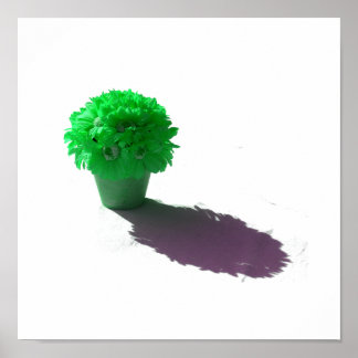 Poster Flores Verdes Balde Branco e Sombra