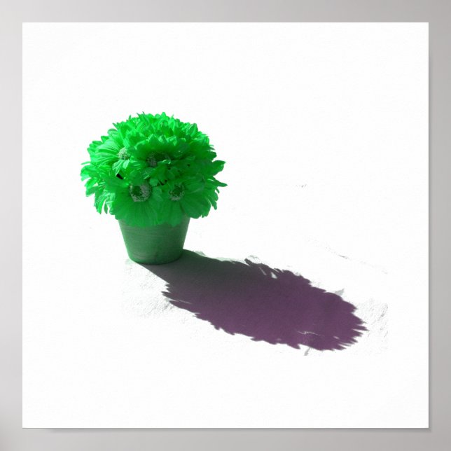 Poster Flores Verdes Balde Branco e Sombra (Frente)
