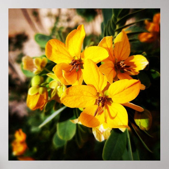 Poster Flores Vibrantes (Frente)