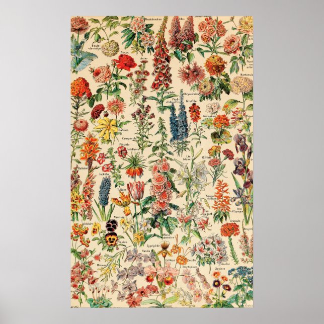 Poster Flores Vintage (Frente)