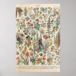 Poster Flores Vintage por Adolphe Millot