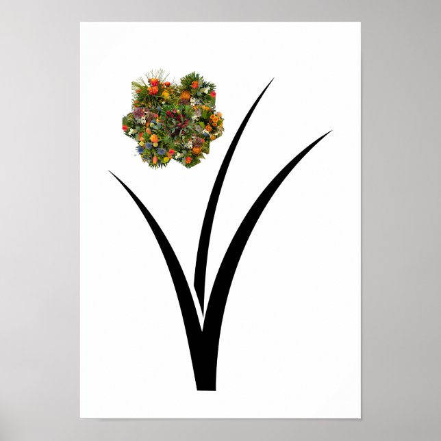 Poster Florescartaz (Frente)