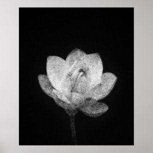 Poster florescente arte de esboços de botões de flores de