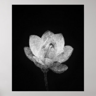 Poster florescente arte de esboços de botões de flores de