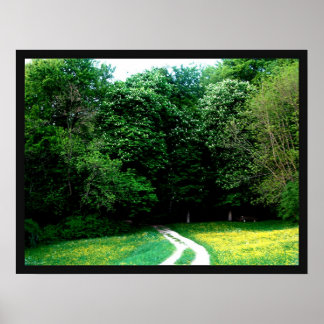 Poster Floresta
