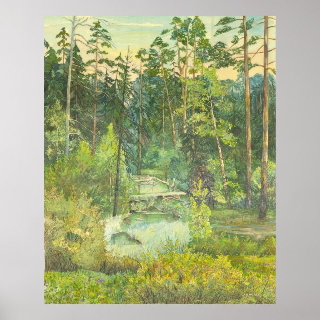 Poster floresta (Frente)