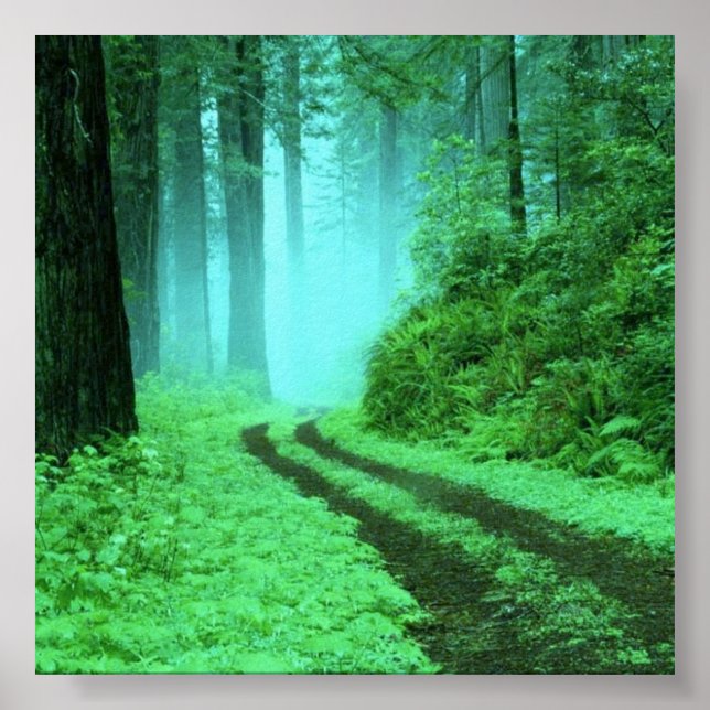 Póster floresta (Frente)