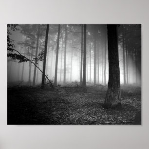 Póster floresta