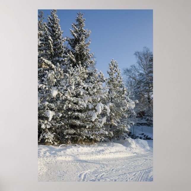 Póster Floresta (Frente)