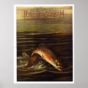 Poster Floresta 1919 e córrego