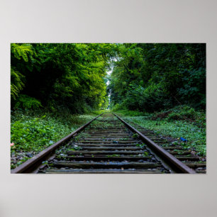 Poster floresta abandonada com trilhas do trem