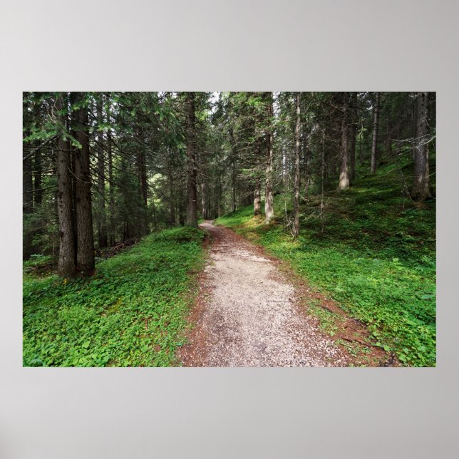 Póster floresta alpina (Frente)