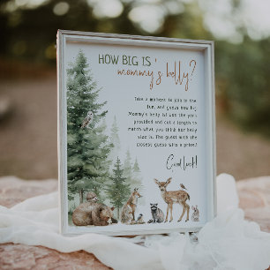 Poster Floresta - Animais De Floresta - Quão Grande É A C