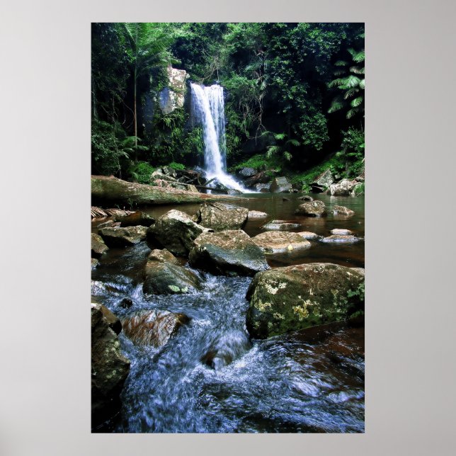 Póster Floresta Australiana (Frente)