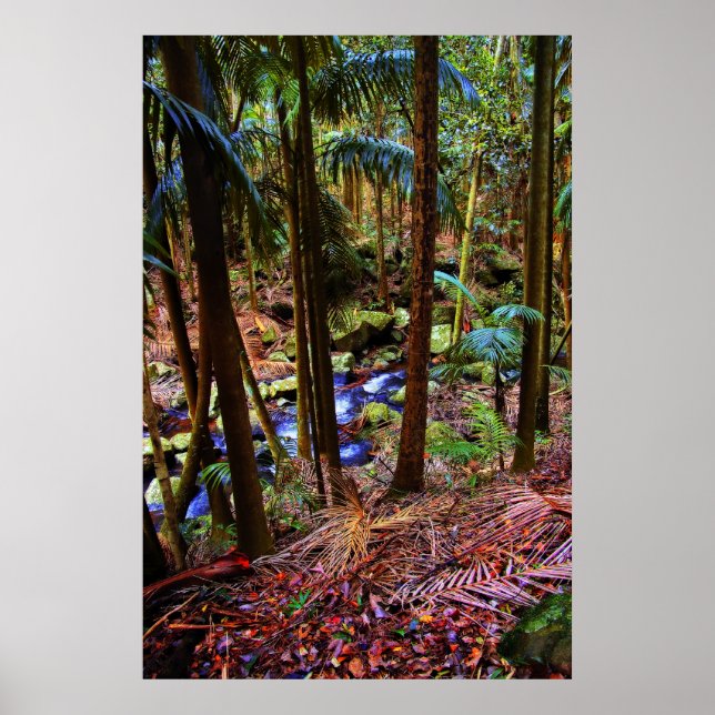 Póster Floresta Australiana (Frente)