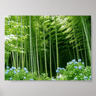 Poster Floresta Bamboo