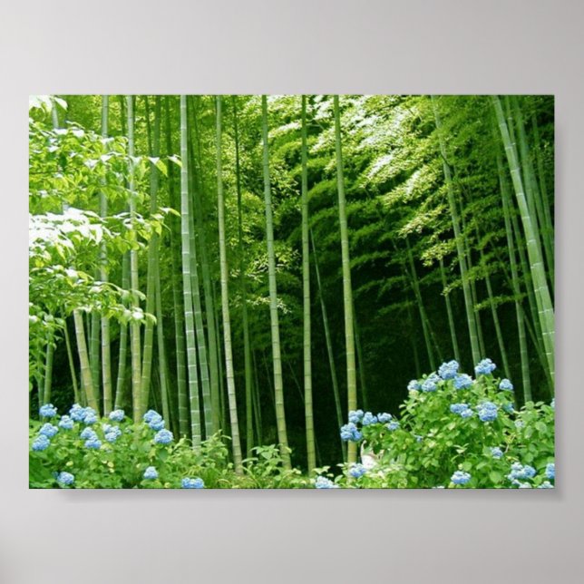 Poster Floresta Bamboo (Frente)