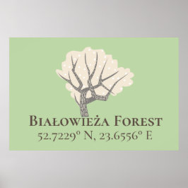 Poster Floresta Białowieża Latitude & Longitude