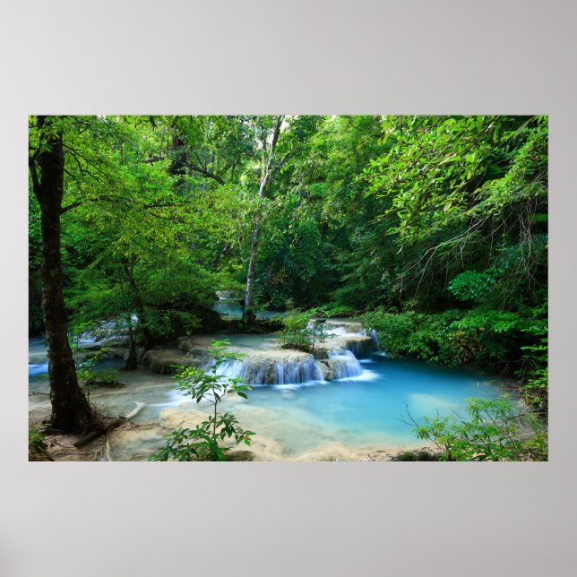 Poster Floresta bonita (Frente)