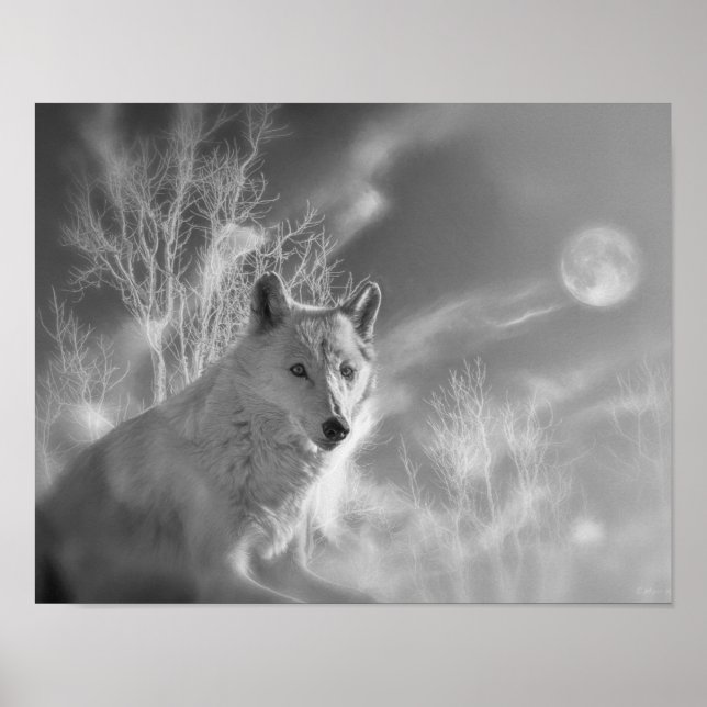 POSTER FLORESTA BRANCA DE LOBO BRANCO (Frente)