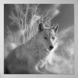 POSTER FLORESTA BRANCA DE LOBO BRANCO