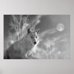 POSTER FLORESTA BRANCA DE LOBO BRANCO