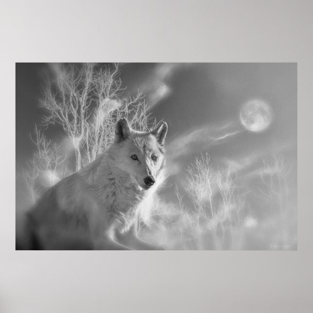 POSTER FLORESTA BRANCA DE LOBO BRANCO (Frente)