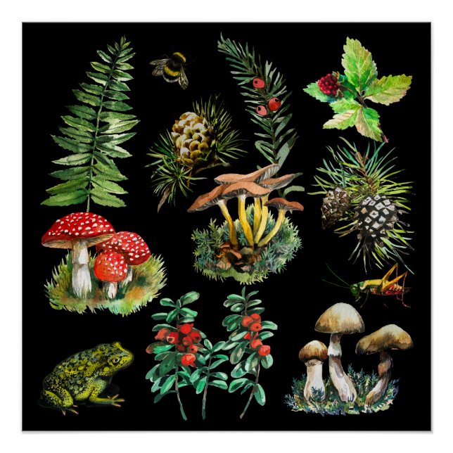 Póster Floresta, cogumelos selvagens (Frente)